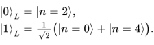 bosonic-codes-5